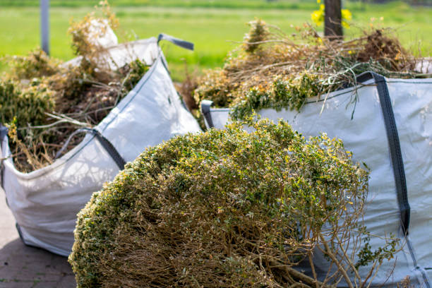 Best Same-Day Junk Removal  in Wyncote, PA